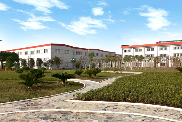 1575687398267695.jpg waijing2.jpg